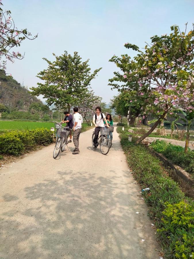 Tam Coc Golden Sun Homestay Ninh Binh Bagian luar foto